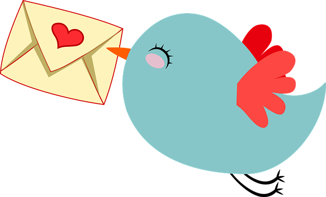 Email Subject Line